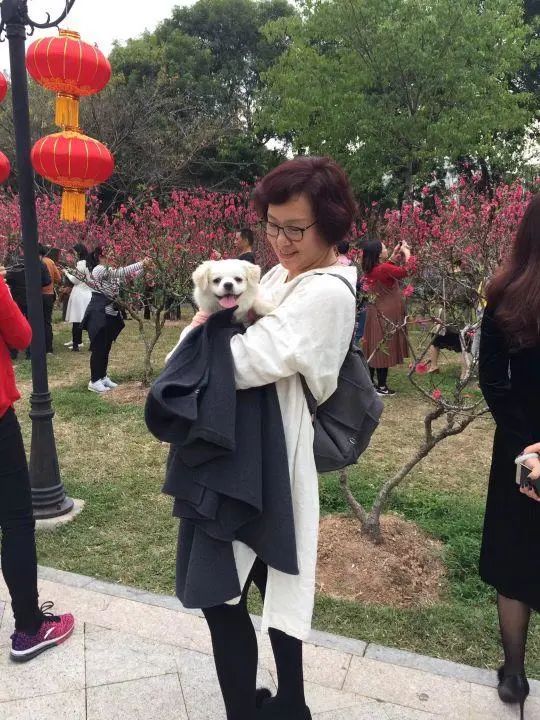 58歲的她，自駕房車旅居，一人兩犬，活成了自己喜歡的樣子