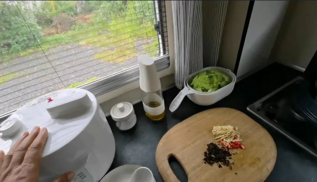 58歲的她，自駕房車旅居，一人兩犬，活成了自己喜歡的樣子