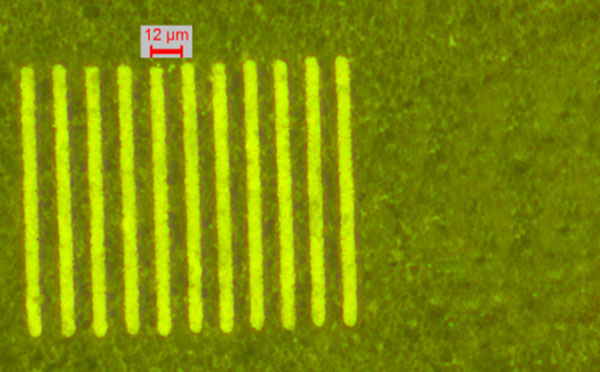 未標題-2 拷貝.jpg